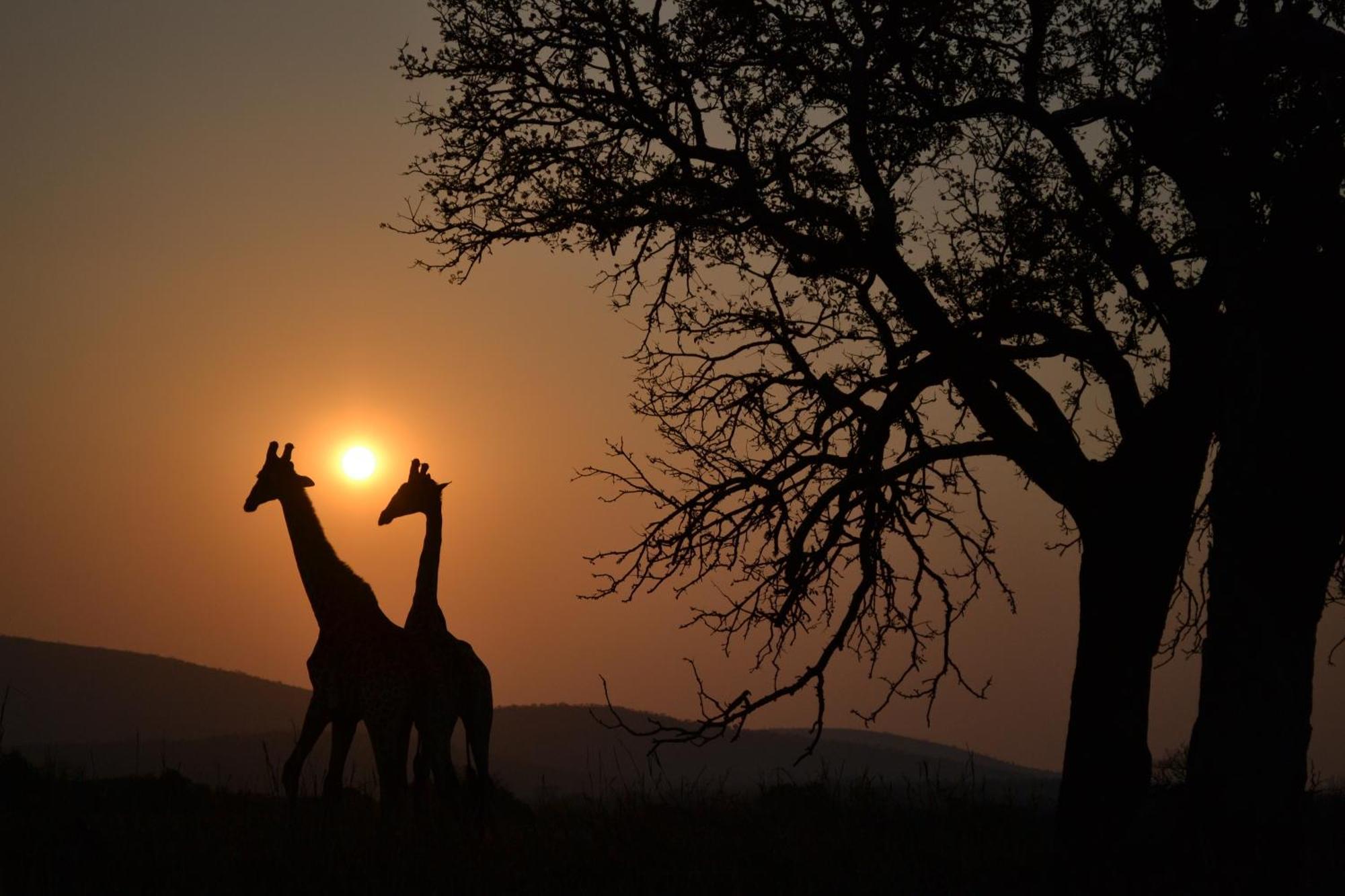 Manyoni Private Game Reserve Leopard Mountain Safari Lodge מראה חיצוני תמונה