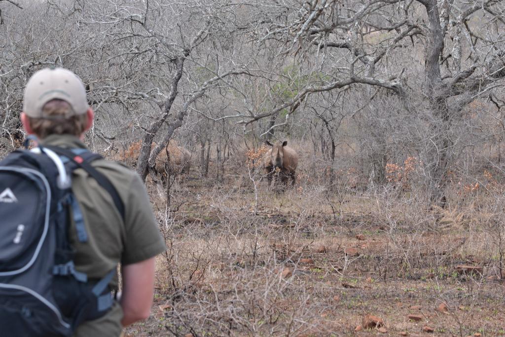 Manyoni Private Game Reserve Leopard Mountain Safari Lodge מראה חיצוני תמונה