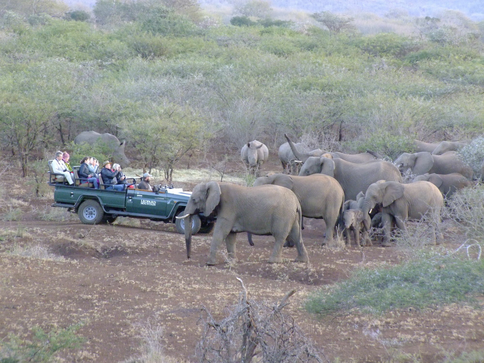 Manyoni Private Game Reserve Leopard Mountain Safari Lodge מראה חיצוני תמונה